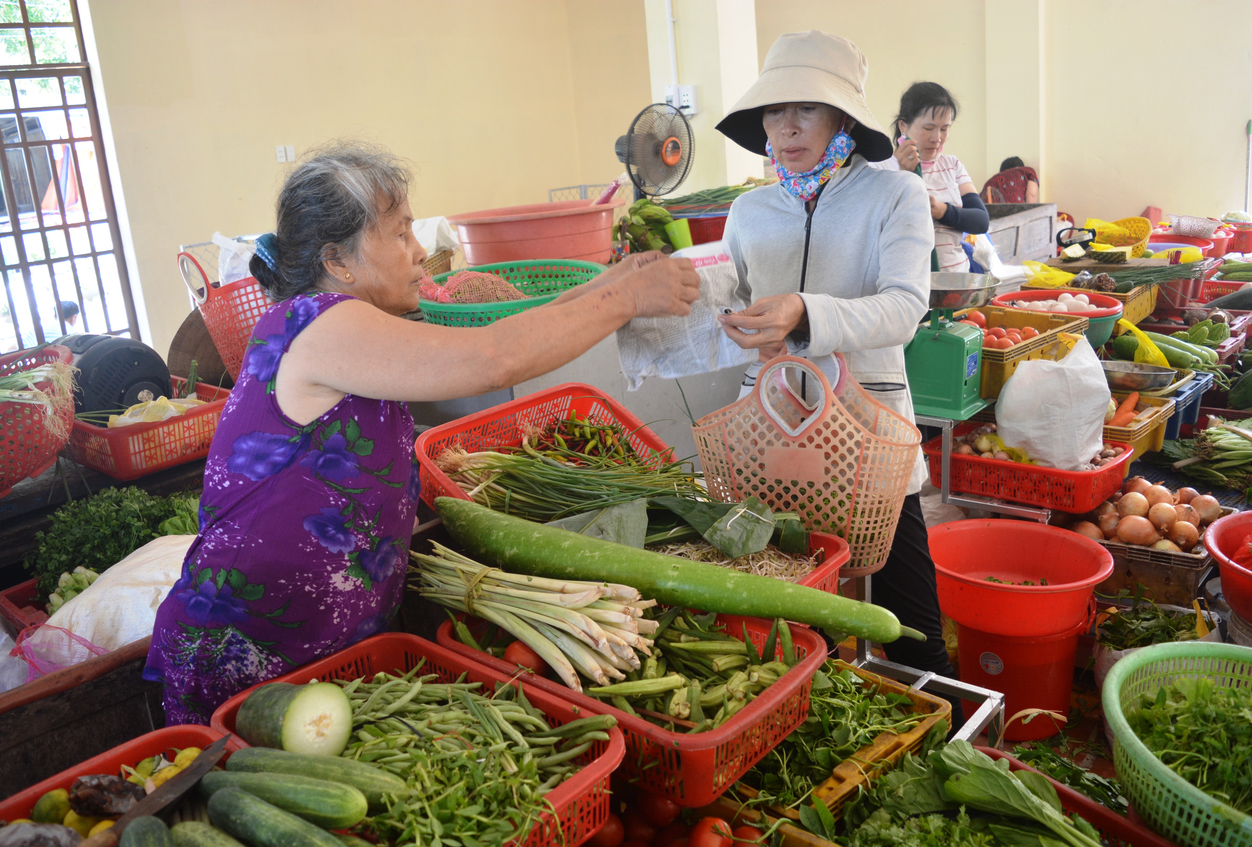 Cù lao Chàm - hòn đảo nói không với túi ni lông

